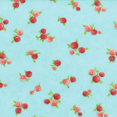 Ruby Quirky Aqua Flannel-Ruby Quirky Aqua 55036 12F Flannel Fabric