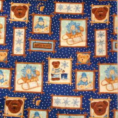 Boyds Bears Winter Frames on Blue