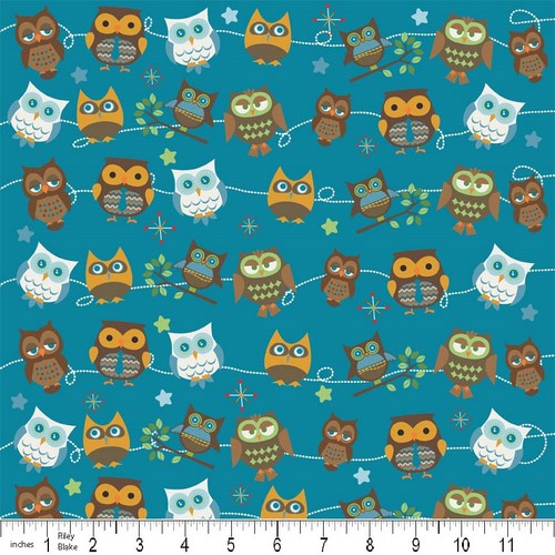 Hooty Hoot Owl Roll Call Blue
