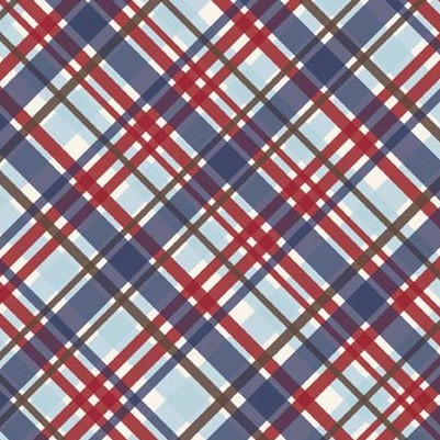 Wanna Be a Cowboy 2 Plaid Blue Flannel-riley blake designs flannel fabric wanna be a cowboy western horse F8524 quotes plaid blue red brown tan