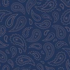 Wanna Be a Cowboy 2 Paisley Blue Flannel-riley blake designs flannel fabric wanna be a cowboy western horse F8526 Paisley Blue