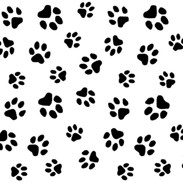 Comfy Pawprints Black White Flannel