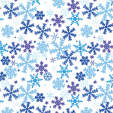 Winter Wonders Snowflake White Blue Flannel BEN14823F-09