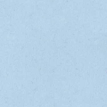 Solid Baby Blue EESCO Flannel