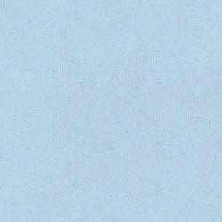 Solid Baby Blue EESCO Flannel