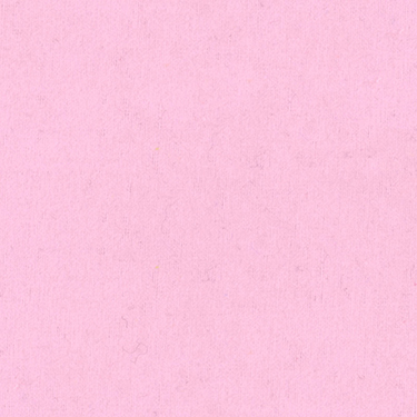 Solid Baby Pink EESCO Flannel