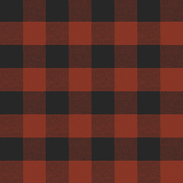 Living the Dream Buffalo Check Red Flannel CLTY4537-82