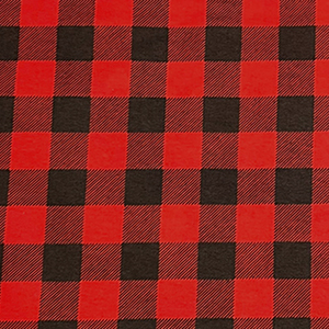 Buffalo Check Plaid Black Red EESCO Flannel