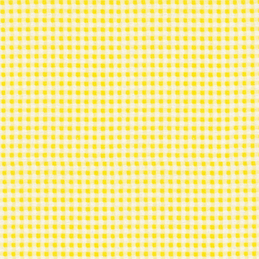 Gingham Check Sunshine EESCO Flannel