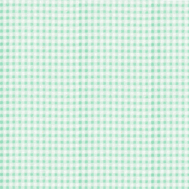 Gingham Check Mint EESCO Flannel