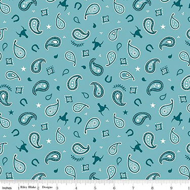 Lil Buckaroos Paisley Aqua Flannel F16021