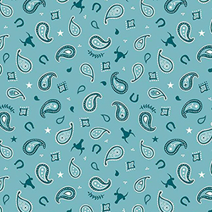 Lil Buckaroos Paisley Aqua Flannel F16021