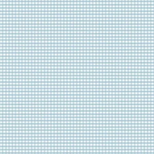 Micro Gingham Blue Flannel F17514