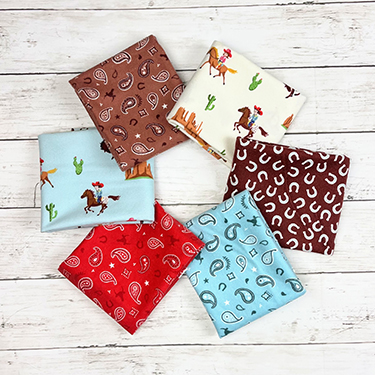 FQ Bundle - Riley Blake Lil Buckaroos Flannel Coordinates