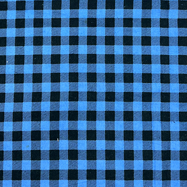 Comfy Buffalo Check Blue Flannel