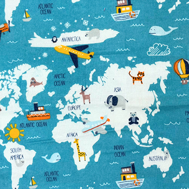 FQ Single - Adventure Globe Flannel