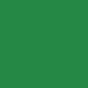 Solid Green David Textiles Flannel