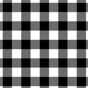 Buffalo Plaid Black White David Textiles Flannel