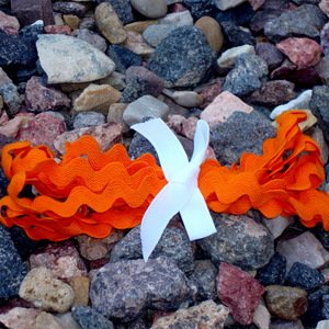 Ric Rac - 3 yards Orange