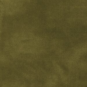 Woolies Color Wash Olive Green Flannel MASF9200-G2