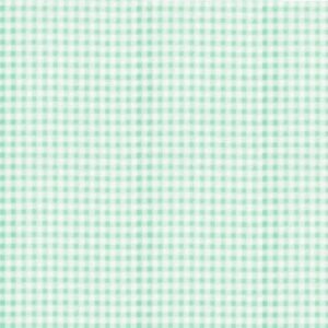 Gingham Check Mint EESCO Flannel